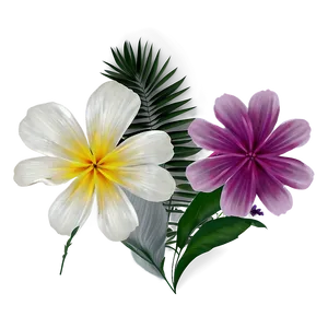 Summer Vibes Floral Design Png Hsq PNG Image