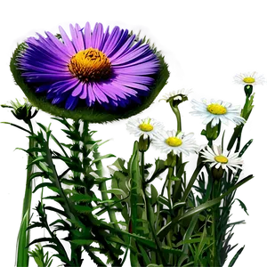 Summer Wildflowers Field Png 89 PNG Image