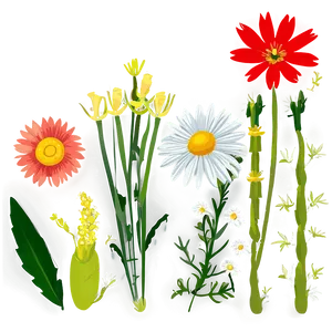 Summer Wildflowers Field Png Pbp89 PNG Image