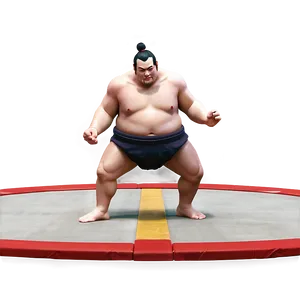 Sumo Wrestling Ring Traditional Png 35 PNG Image