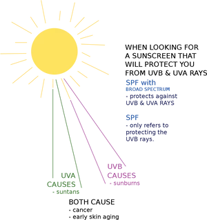 Sun Protection Factors Explained PNG Image