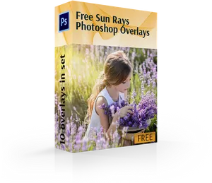 Sun Rays Photoshop Overlays Promotion PNG Image