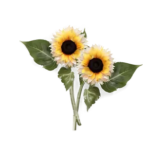 Sunflower Bouquet Transparent Png Ino83 PNG Image