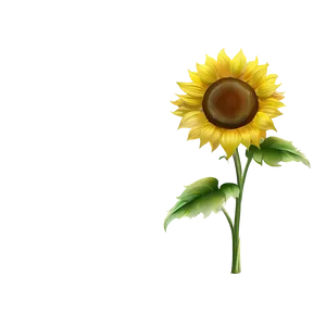 Sunflower Clipart No Background Png Woy38 PNG Image