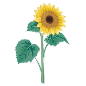 Sunflower Outline Transparent Png 1 PNG Image