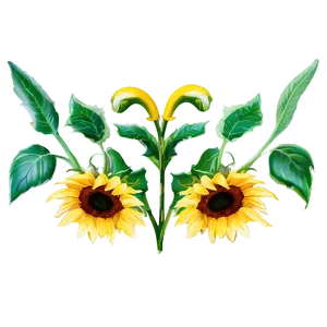 Sunflower Outline Transparent Png Brt PNG Image