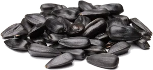 Sunflower Seeds Pile Isolated.png PNG Image