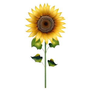 Sunflower Transparent Png 93 PNG Image