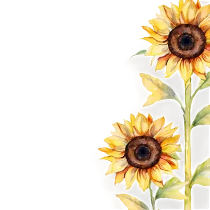 Sunflower Watercolor Greeting Card Design Png 06272024 PNG Image