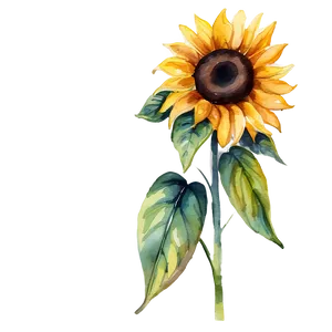 Sunflower Watercolor Image Png Lgi PNG Image