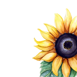 Sunflower Watercolor Image Png Vgh88 PNG Image