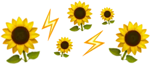 Sunflowers_and_ Lightning_ Bolts_ Emoji_ Pattern PNG Image