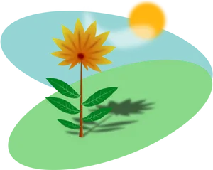 Sunlit Flower Illustration PNG Image