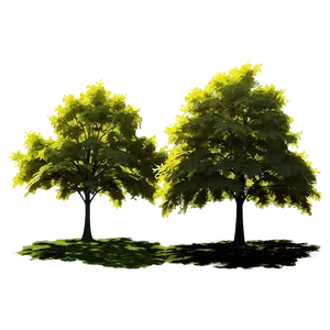 Sunlit Maple Tree Tranquility Png Elx59 PNG Image