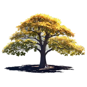 Sunlit Maple Tree Tranquility Png Rtv30 PNG Image