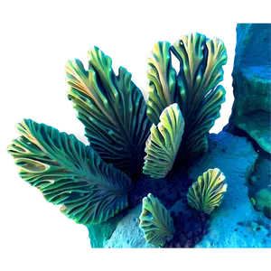 Sunlit Ocean Reef Png Efo PNG Image