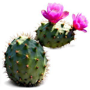 Sunlit Prickly Pear Png Lcb PNG Image