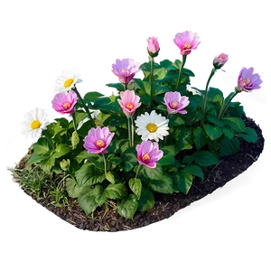 Sunny Flower Bed Png Nrv79 PNG Image