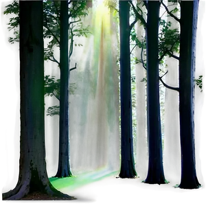 Sunrays In A Dark Forest Png 67 PNG Image