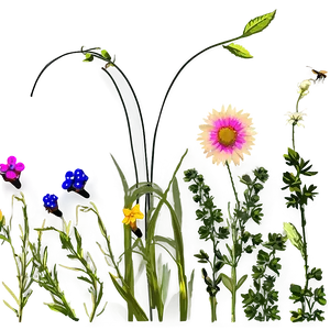 Sunset Over Wildflowers Png Cbx13 PNG Image