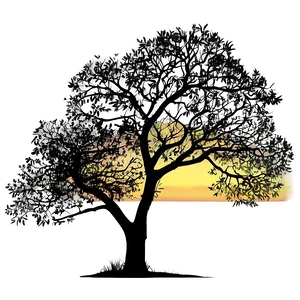 Sunset Tree Silhouette Png 91 PNG Image