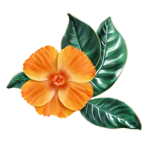 Sunshine Orange Petal Png 06122024 PNG Image