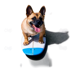 Surfing Dog PNG 06112024 PNG