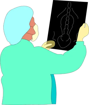 Surgeon Analyzing Xray PNG Image