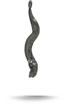 Suspended Eel Reflection PNG Image