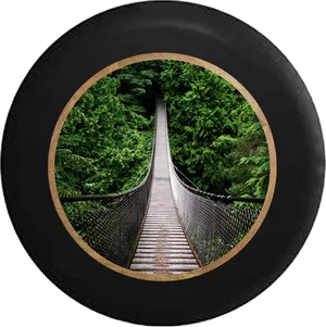 Suspension Bridge Rainforest Pathway PNG Image