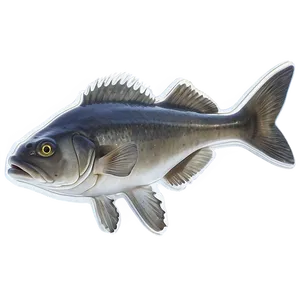 Sustainable Cod Farming Png 45 PNG Image