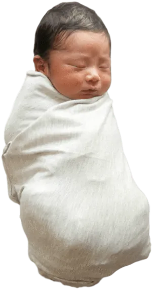 Swaddled Newborn Sleeping Peacefully PNG Image