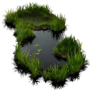 Swamp B PNG Image