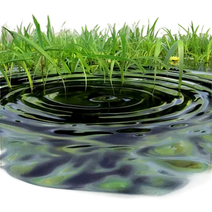 Swamp Water Texture Png 31 PNG Image