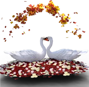 Swan Heart Romance PNG Image