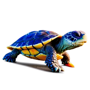 Sweet Baby Turtle Png 06252024 PNG Image