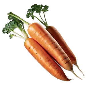 Sweet Carrot Png Ksv25 PNG Image