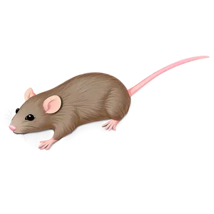 Sweet Rat Illustration Png Juc PNG Image