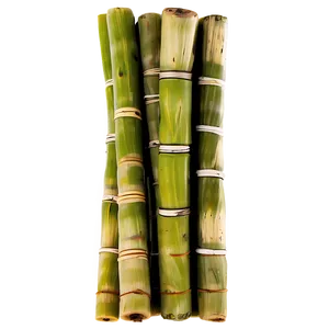 Sweet Sugarcane Stick Png Sjb12 PNG Image