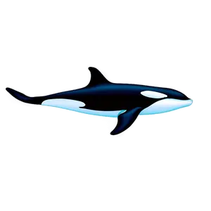 Swimming Orca Whale Graphic Png Vml PNG Image