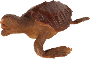 Swimming_ Turtle_ Transparent_ Background.png PNG Image