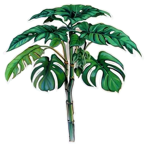 Swiss Cheese Plant Png Ech22 PNG Image