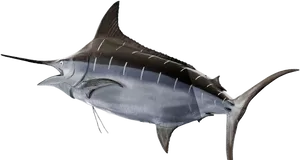 Swordfish Swimming Profile PNG Image