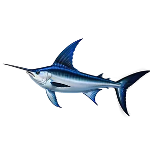 Swordfish Vs Marlin Png 63 PNG Image