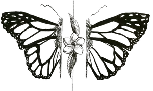 Symmetrical Butterfly Art PNG Image