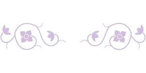 Symmetrical Floral Designon Black Background PNG Image