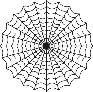 Symmetrical Spider Web Illustration PNG Image