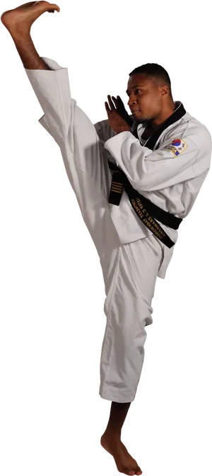 Taekwondo Black Belt High Kick PNG Image