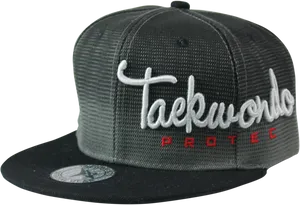 Taekwondo Protec Black Snapback Hat PNG Image