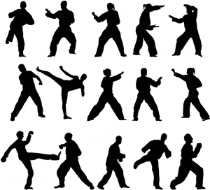 Taekwondo Silhouettes Set PNG Image